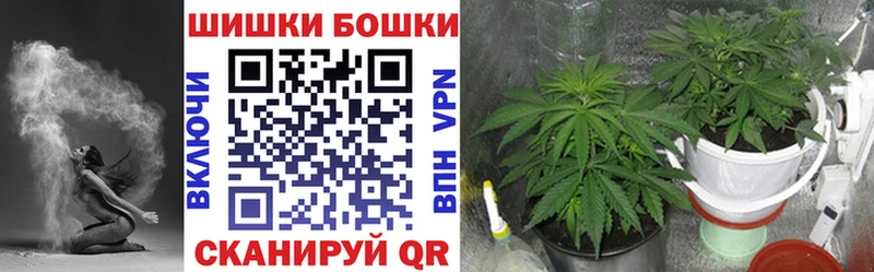 где можно купить наркотик  Старая Русса  Марихуана план 